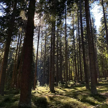 Arnostka Vimperk